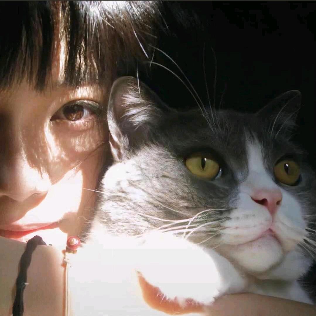 袁家辉