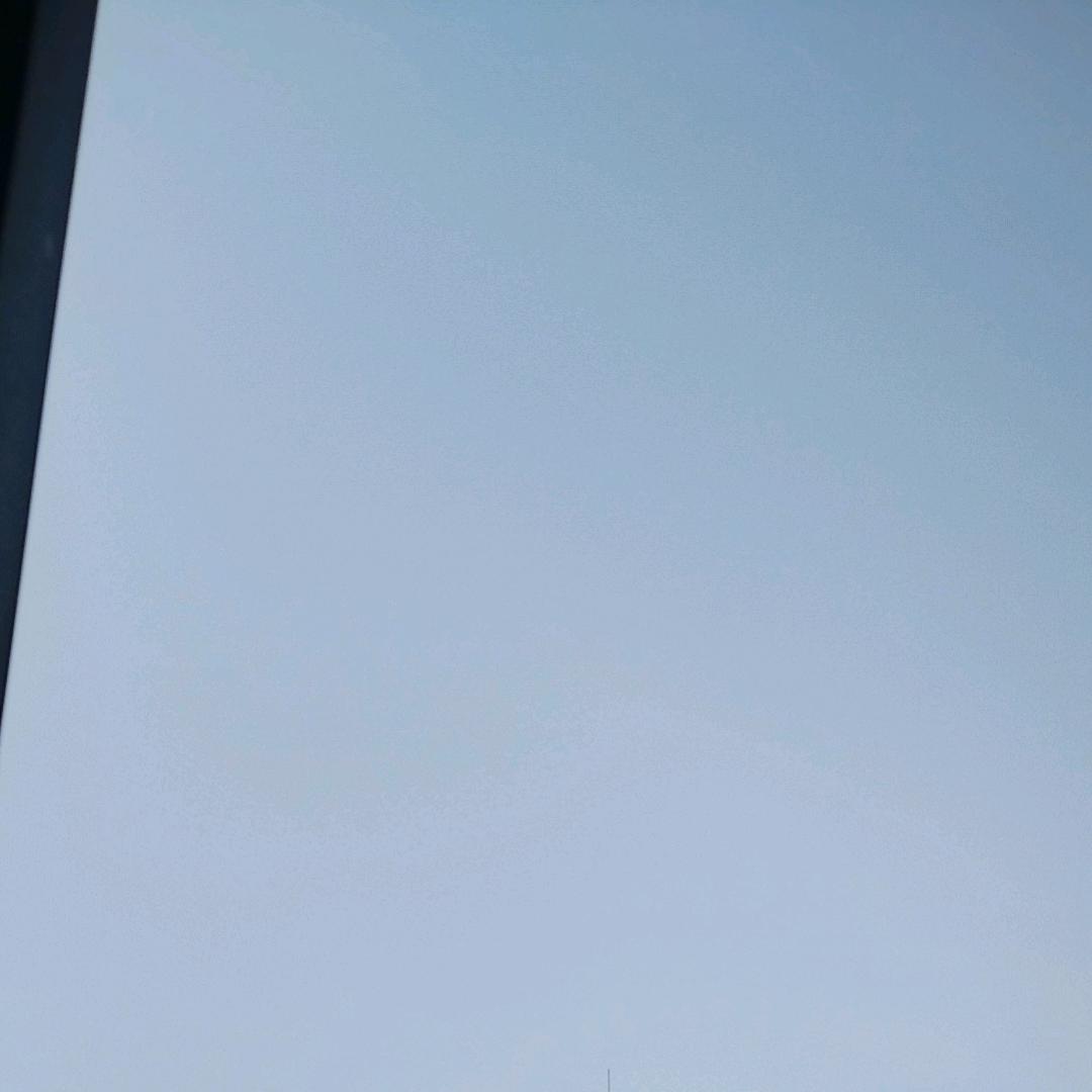 叶子