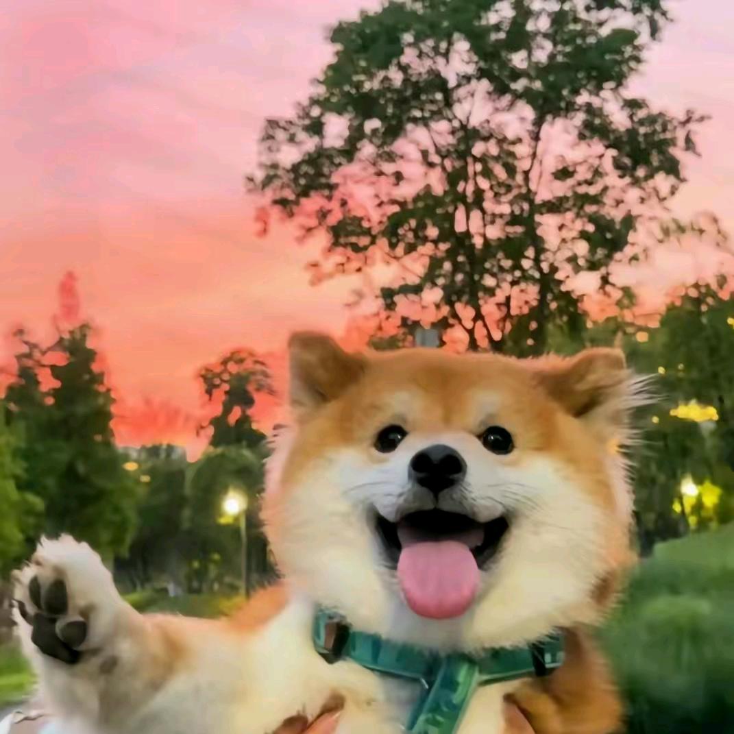 小货车拉小皮卡