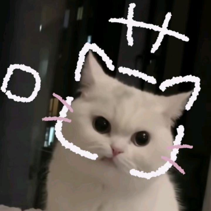 955