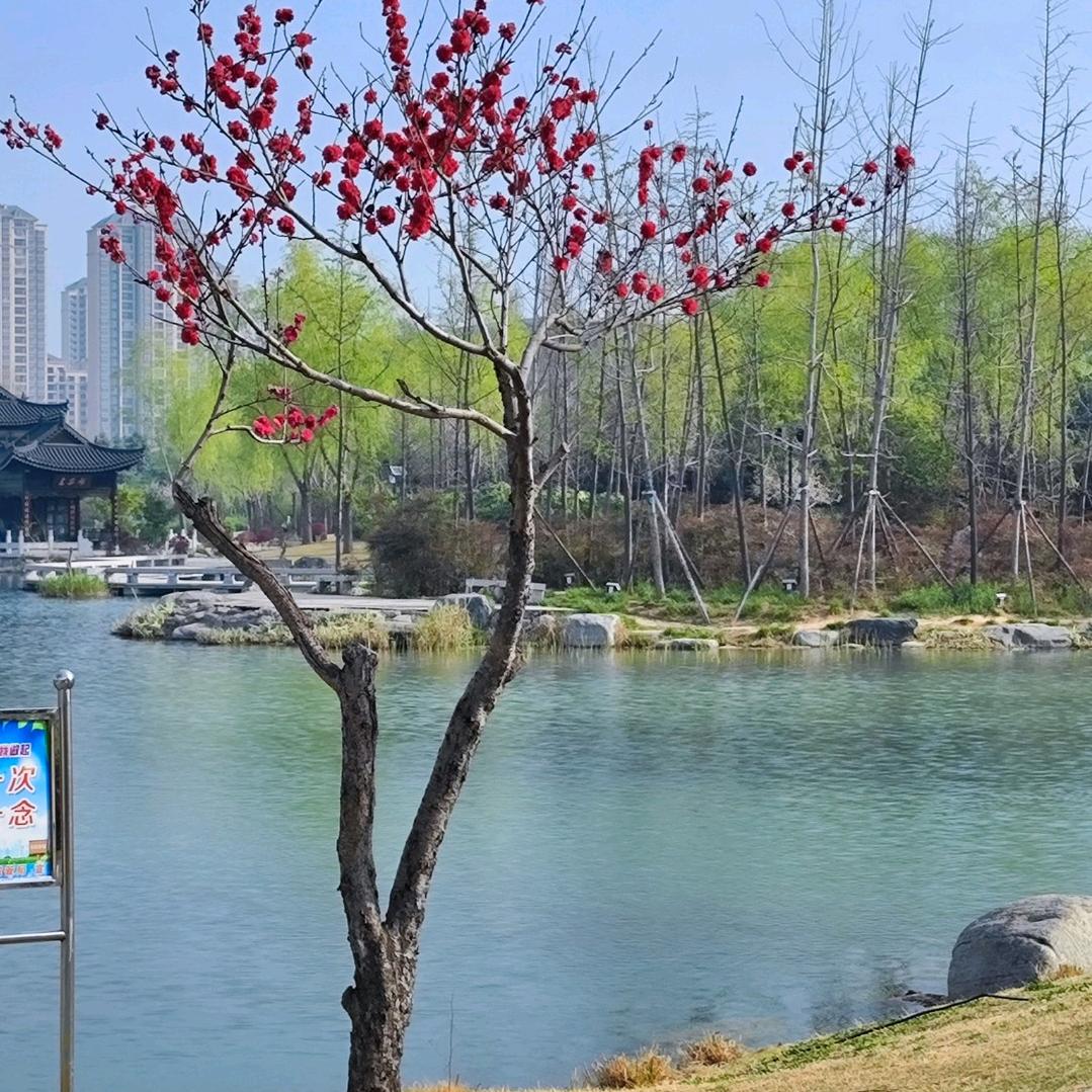 永基隅撑拉条加工