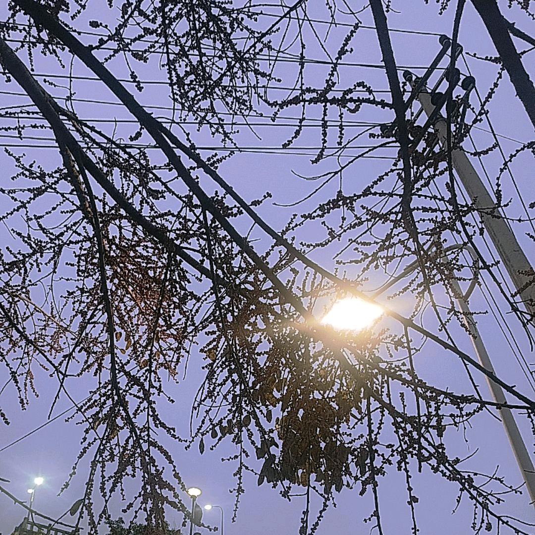 梦想陪我等天亮