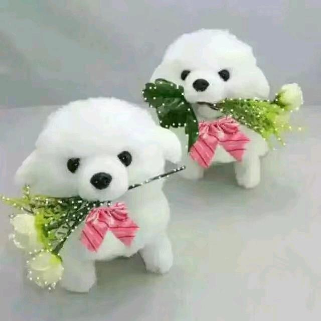 ᦦ້ᮨ꯭💔红尘ω ⃟过客᯽࿐