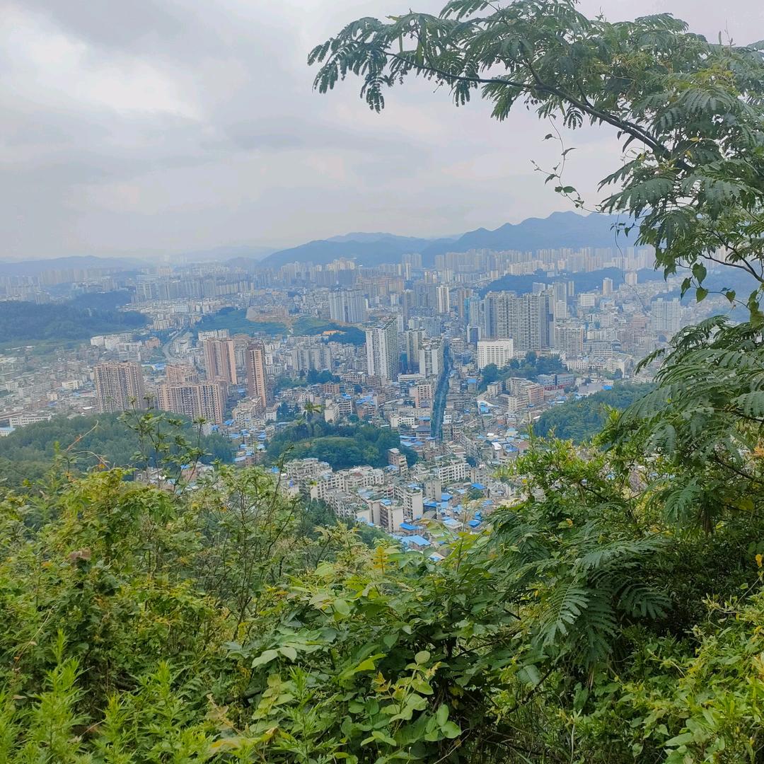 🥀এ᭄酒醉的ꦿ蝴🦋蝶ོ࿐ᩚ
