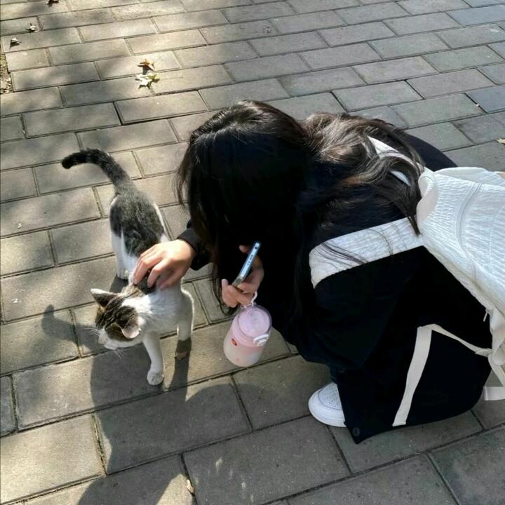 蚂蚁🐜