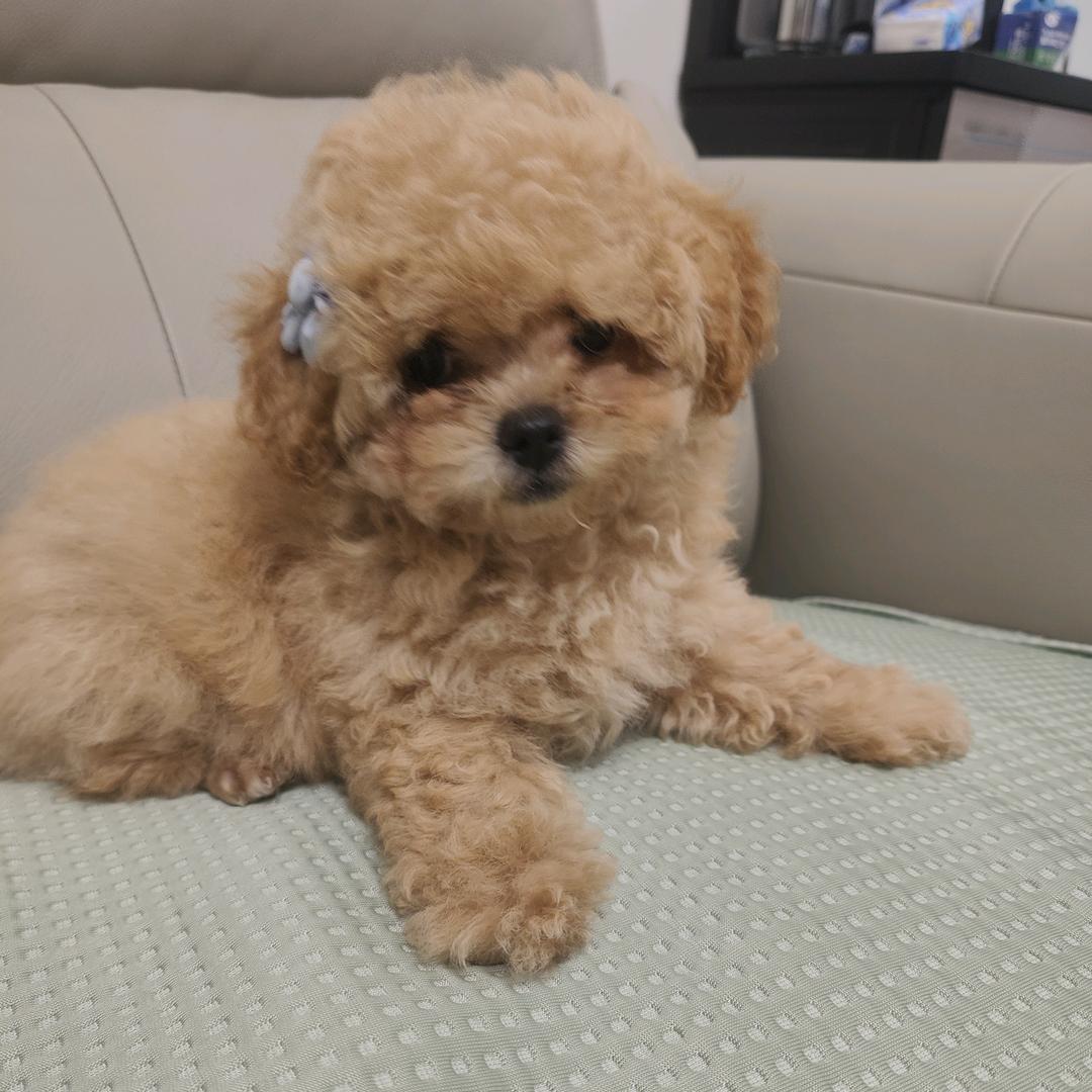 “౪ᩚ福寶❥❣️❦