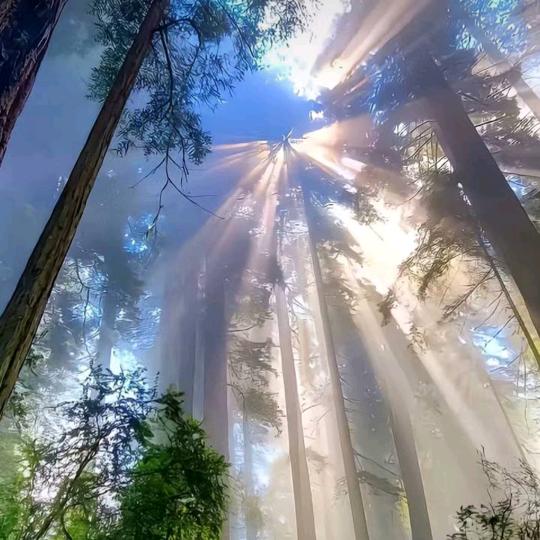 (ᐢ⸝⸝ᴖ ·̫ ᴖ⸝⸝ᐢ)