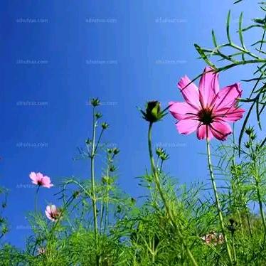 💋握住了👙左手的幸福💋