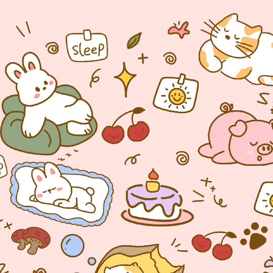 兔子🐰
