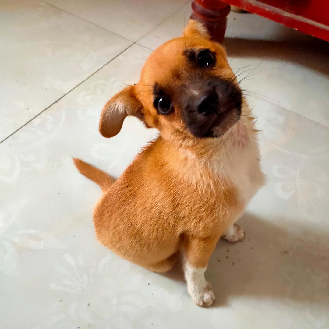 是晴晴呀