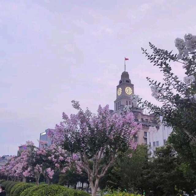秋葵头像