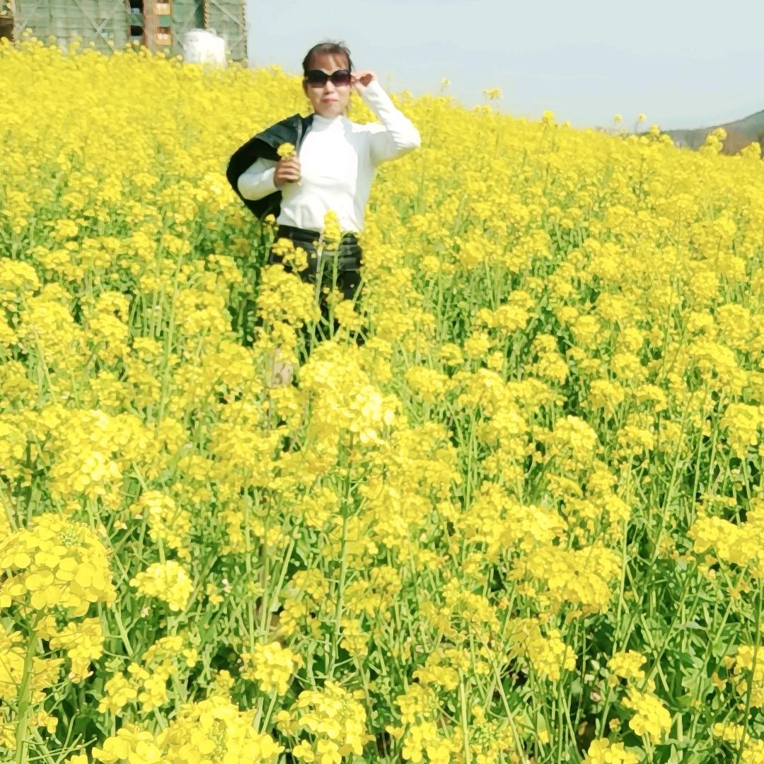 幸福像花儿一样