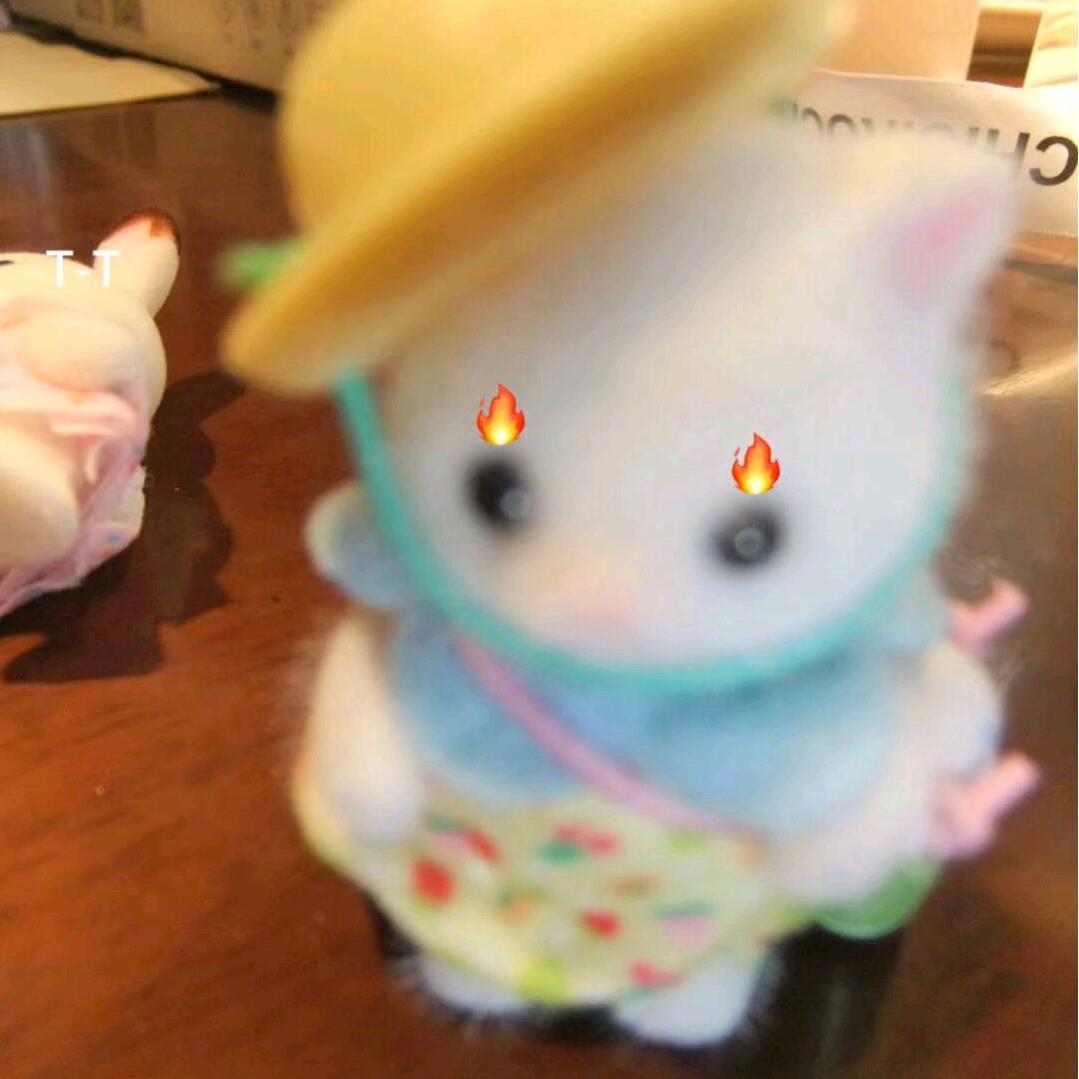 出逃的煎蛋🍳