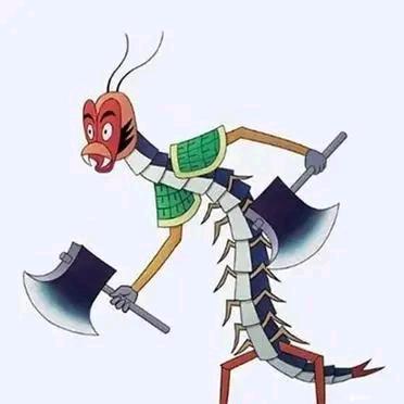 小陈带你养蜈蚣