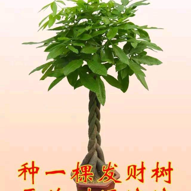 聚泷小零食