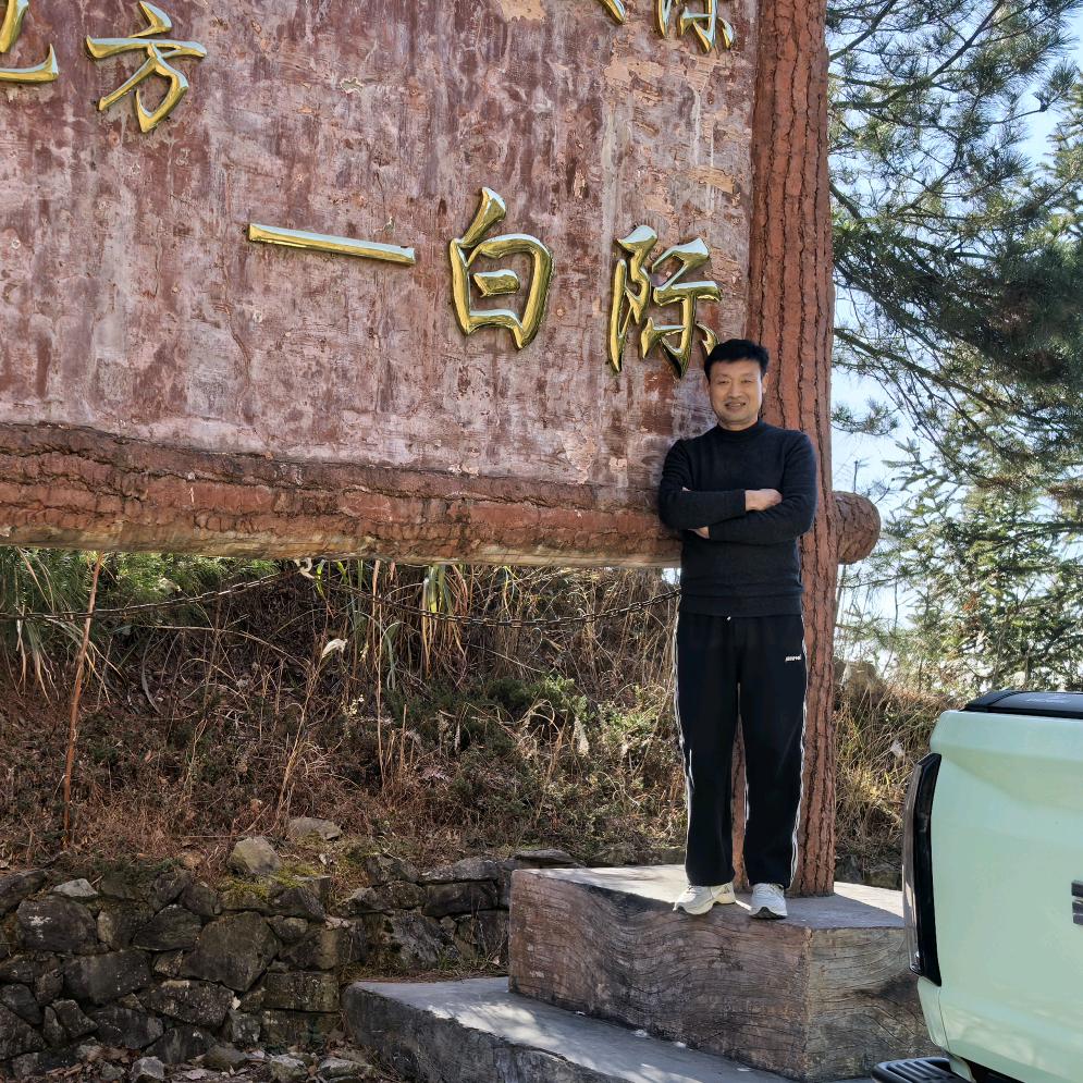 淡忘如思