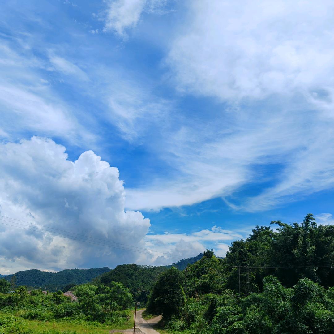 坤屿林林业
