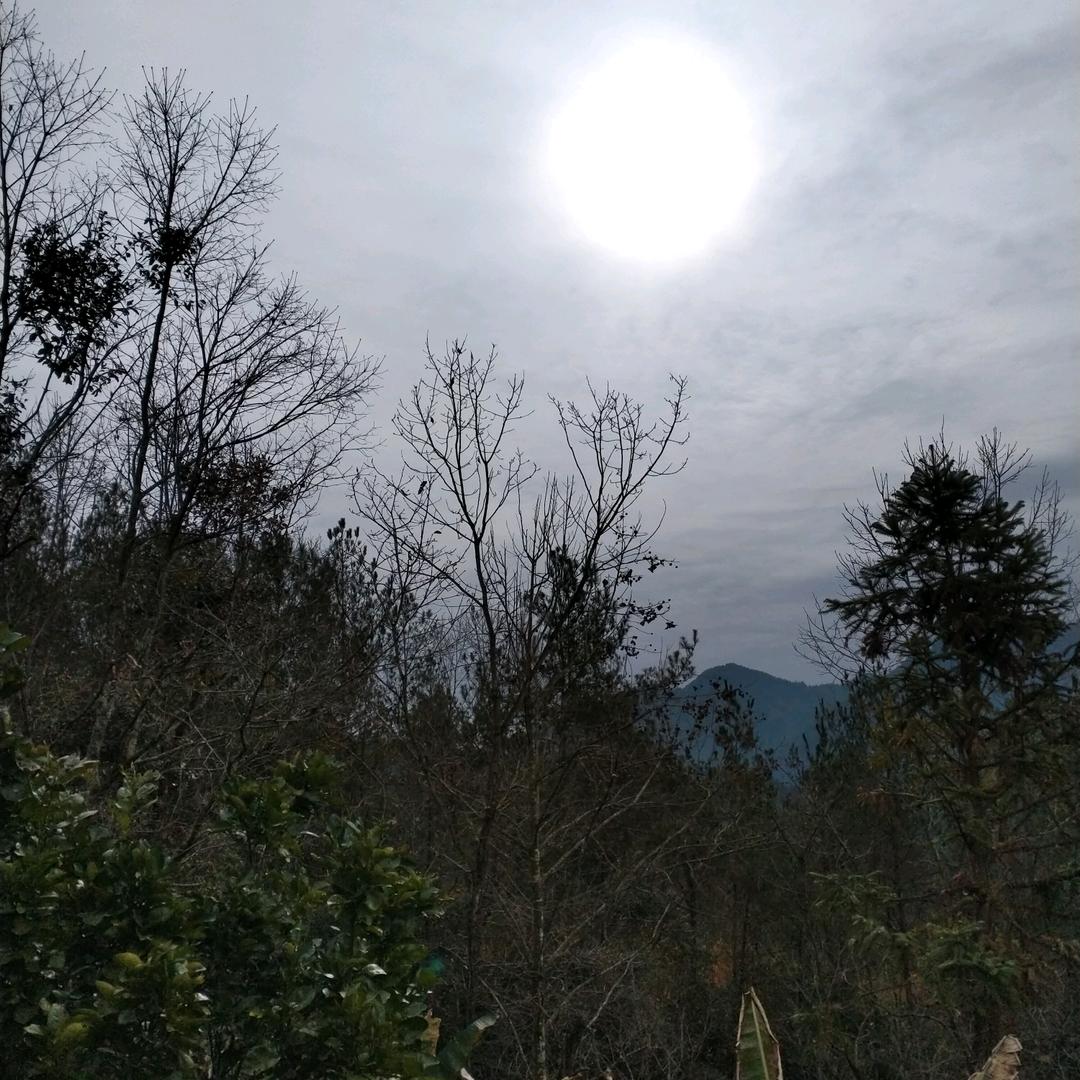 夕阳无限好只是近黄昏
