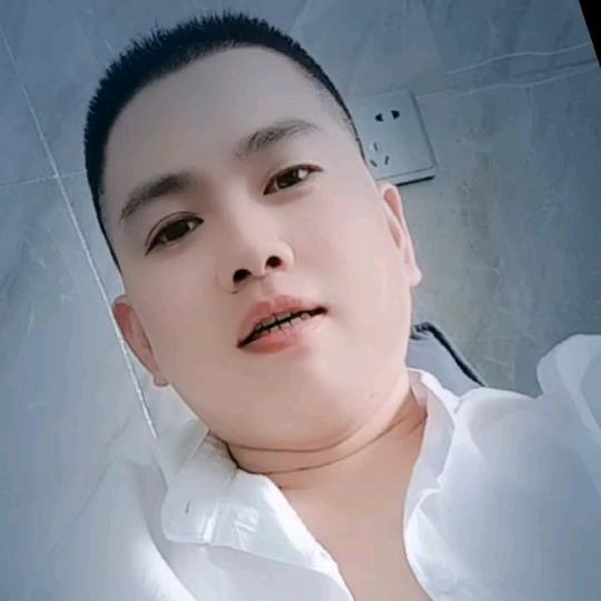 北极熊