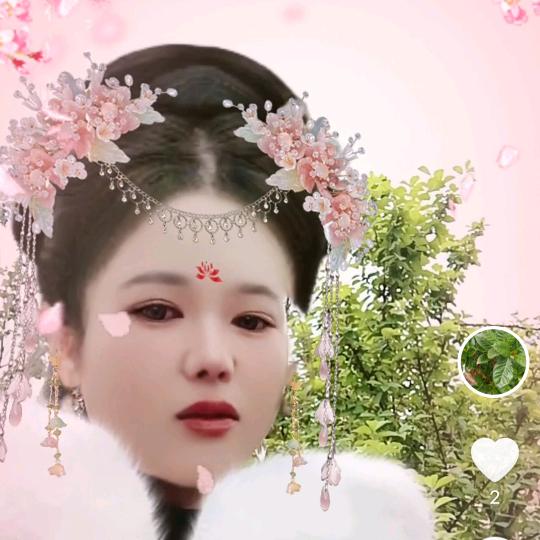 王王林