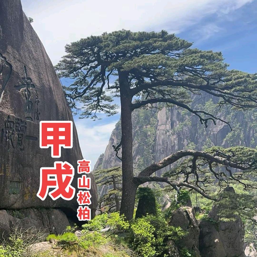 叶总汇（咨询关注）