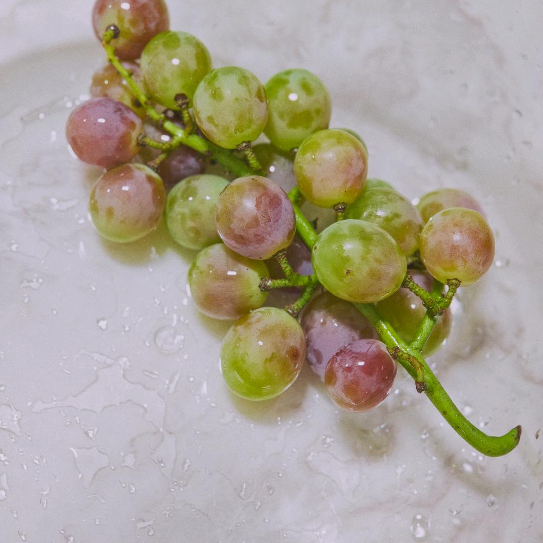 东篱把酒黄昏后