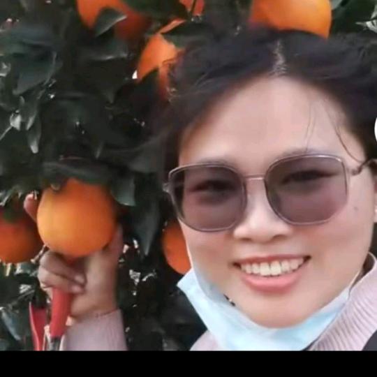 瑶家小雪农产品特产（农业种植与销售）