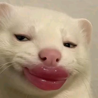 旺旺饼干