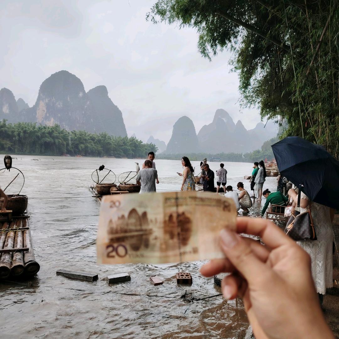 （和鸡百鸡）黑鸡白鸡