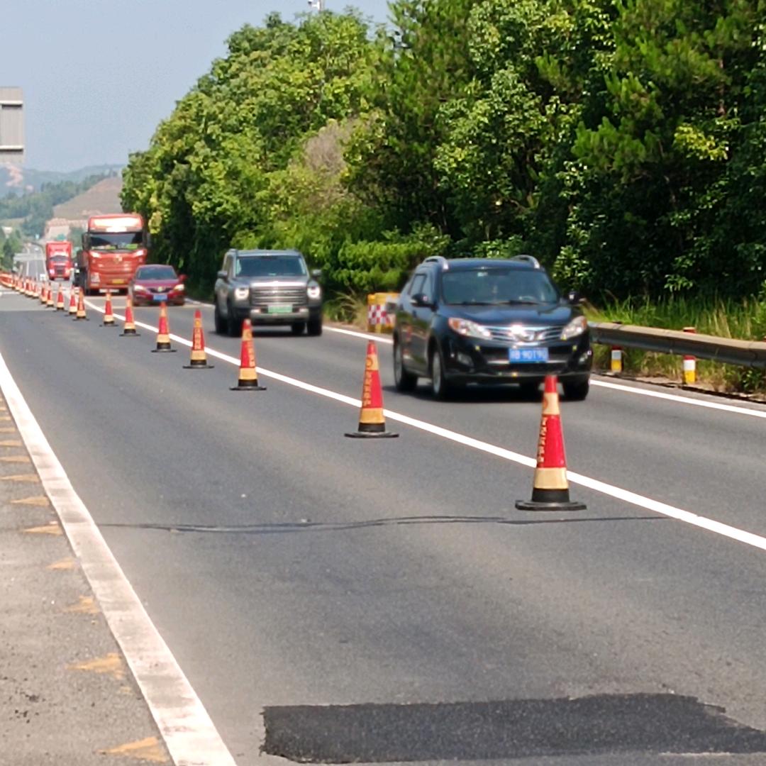 华哥爱燕子🌹🌹