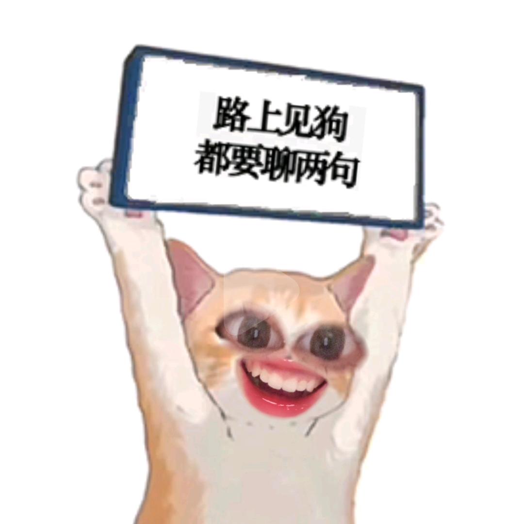 吉吉(连麦牵线)