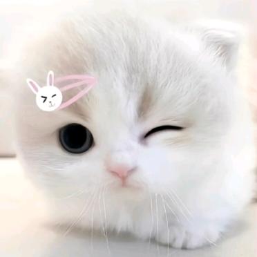小颜uou