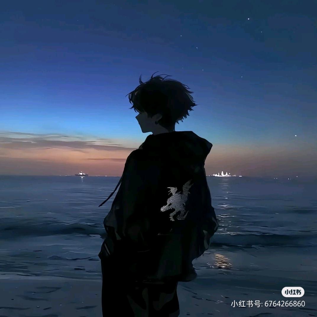 星空下的歌颂者