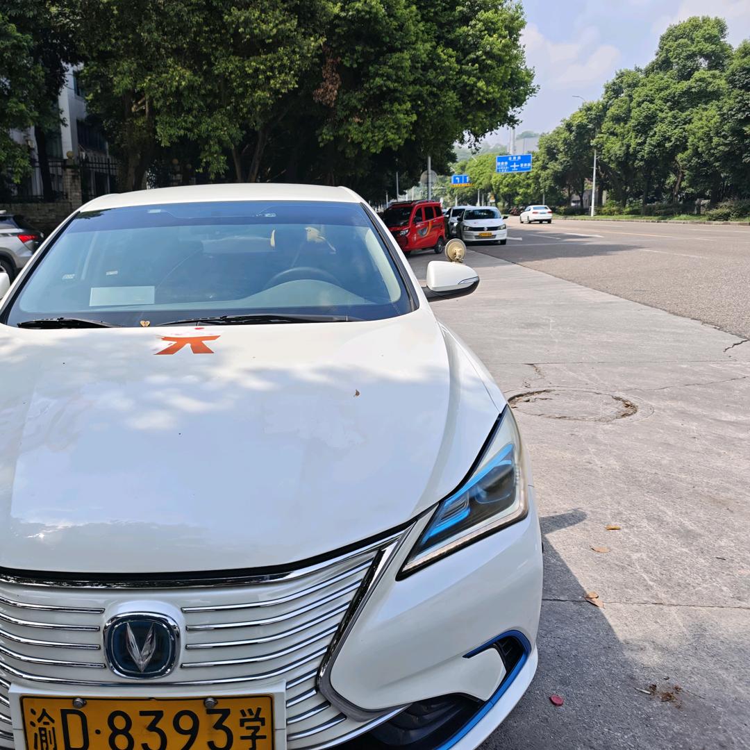 西彭科目三合场小蔡老师