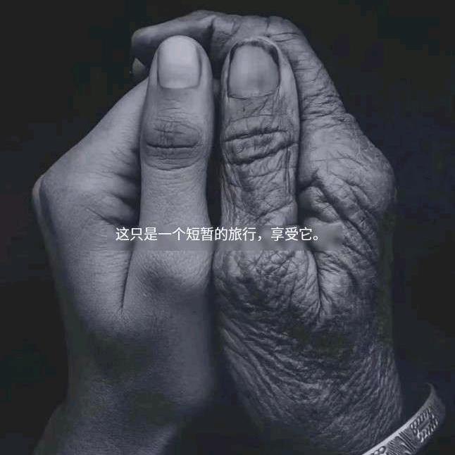 2024.福临