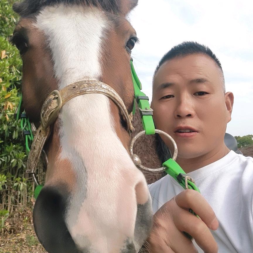 小杜天天收购牛羊