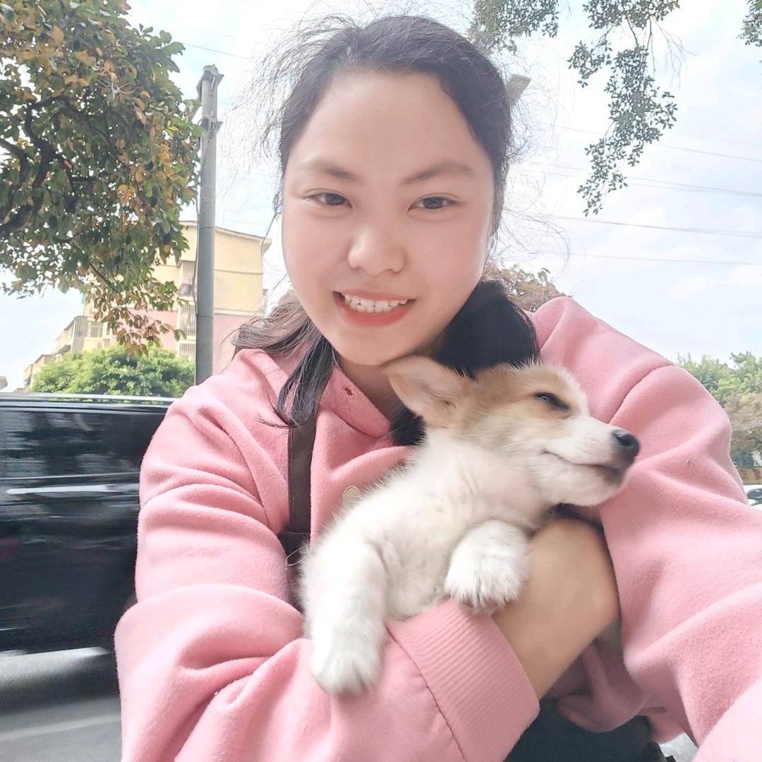 南宁木小棉家纺