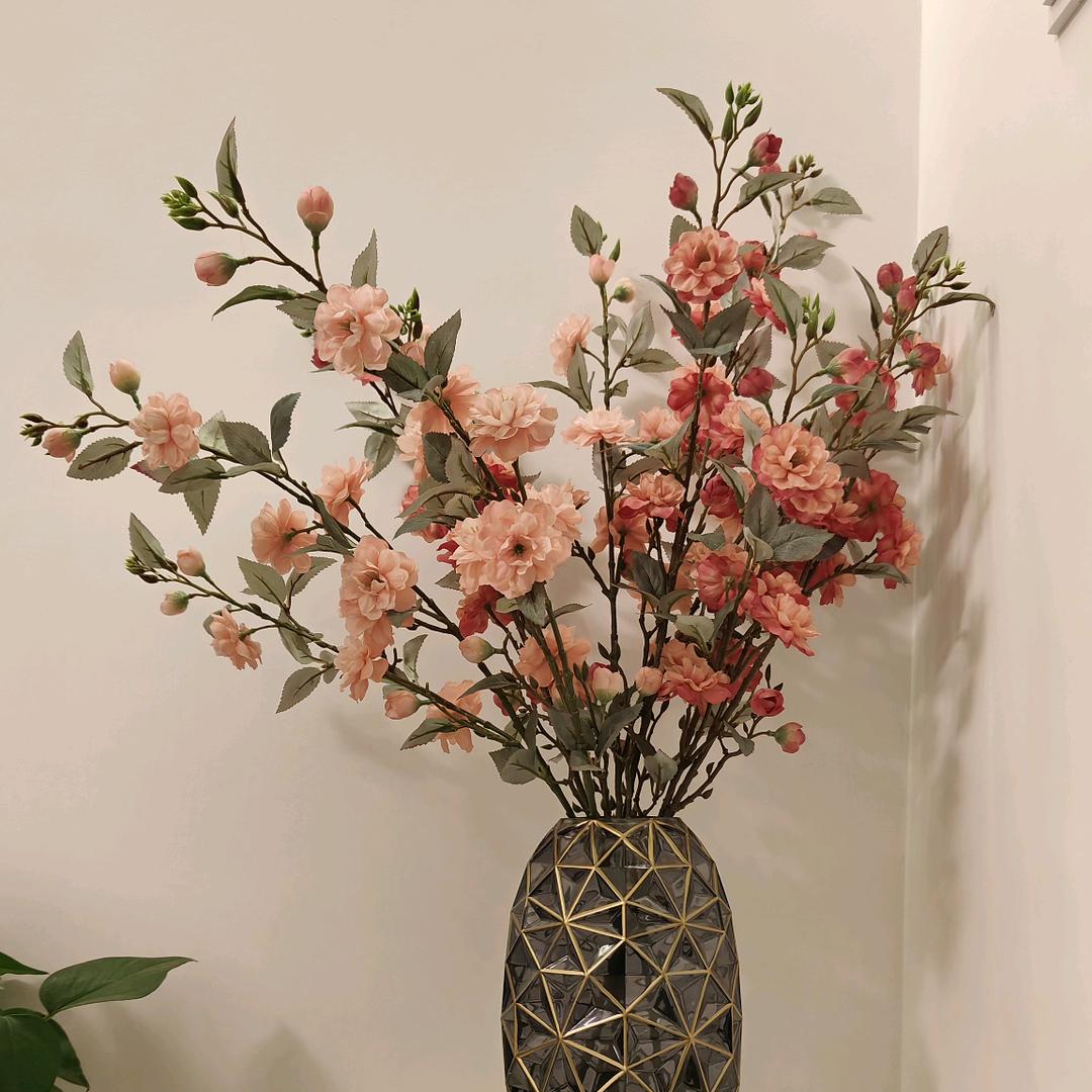 杨枝甘露