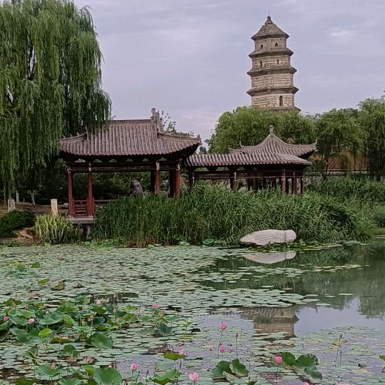 可可西里