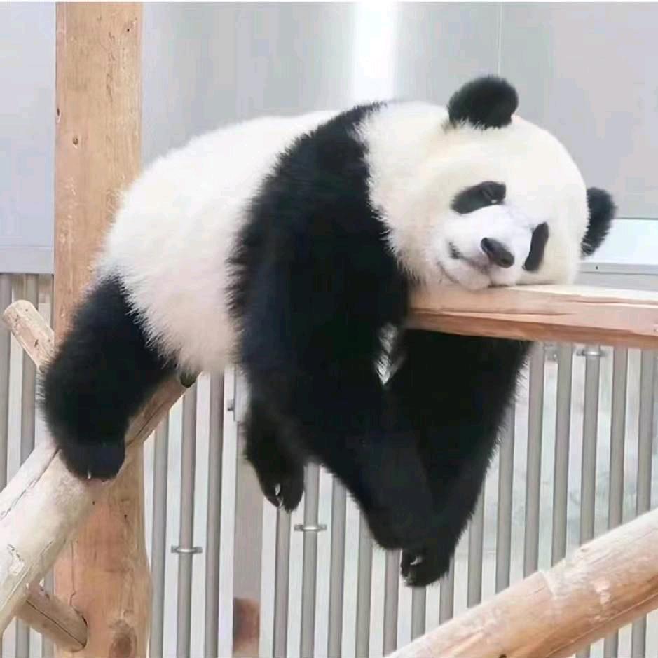 乾普