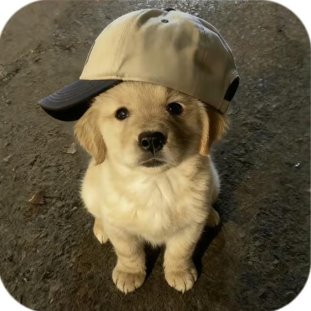 哈哈不嘻嘻（见过赵雷版）