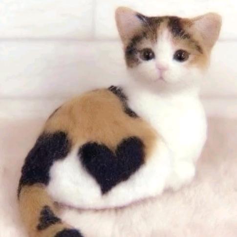 =ω=