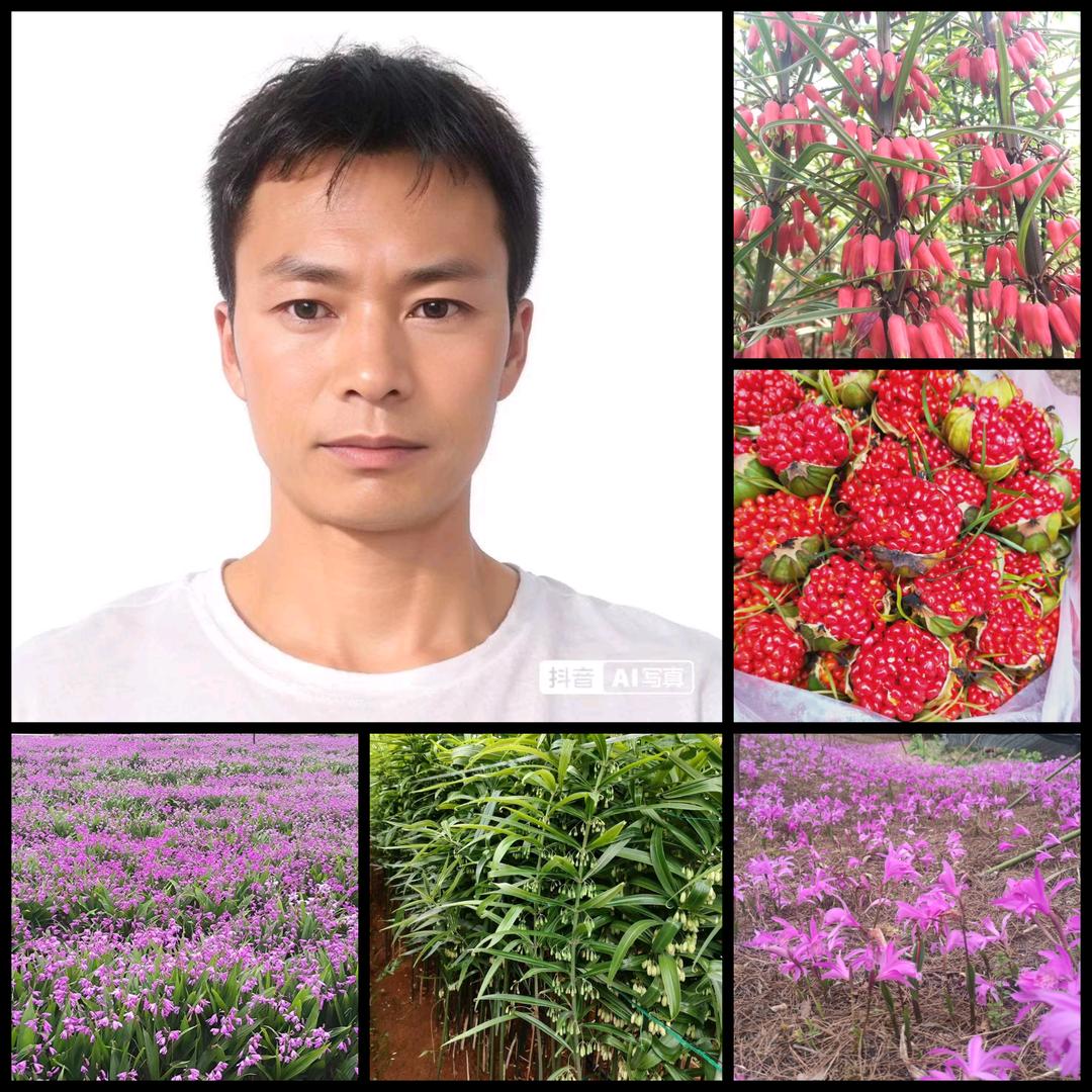 本草药园