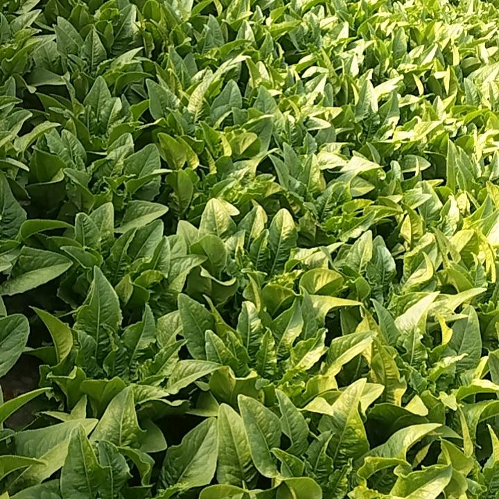 忘掉一切，回到从前