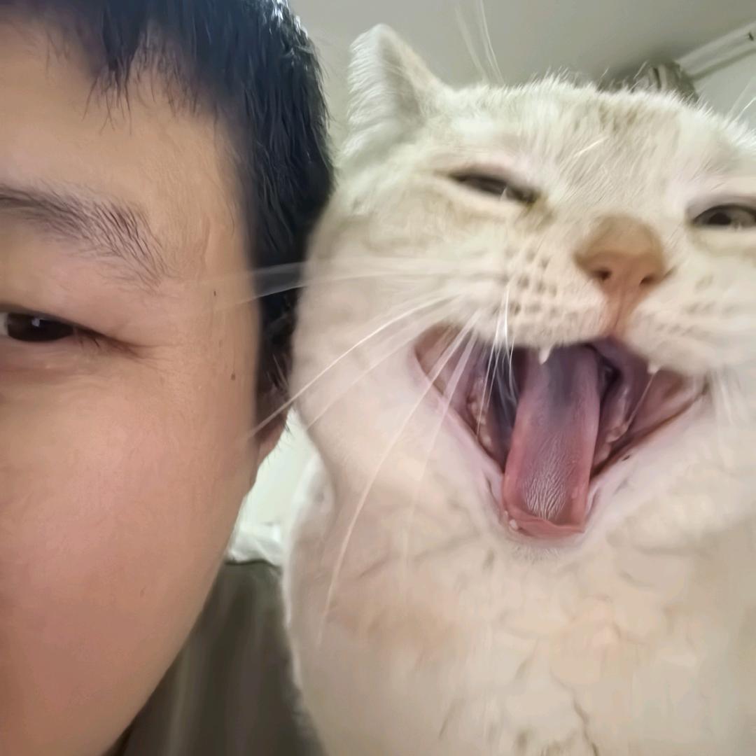 🌈一场游戏一场梦