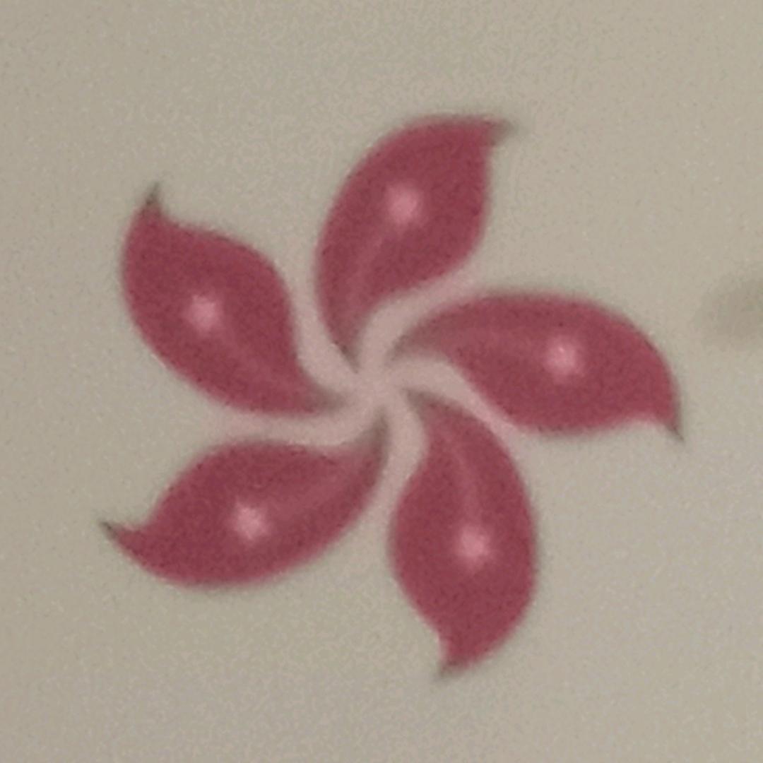 三个孙子的奶奶