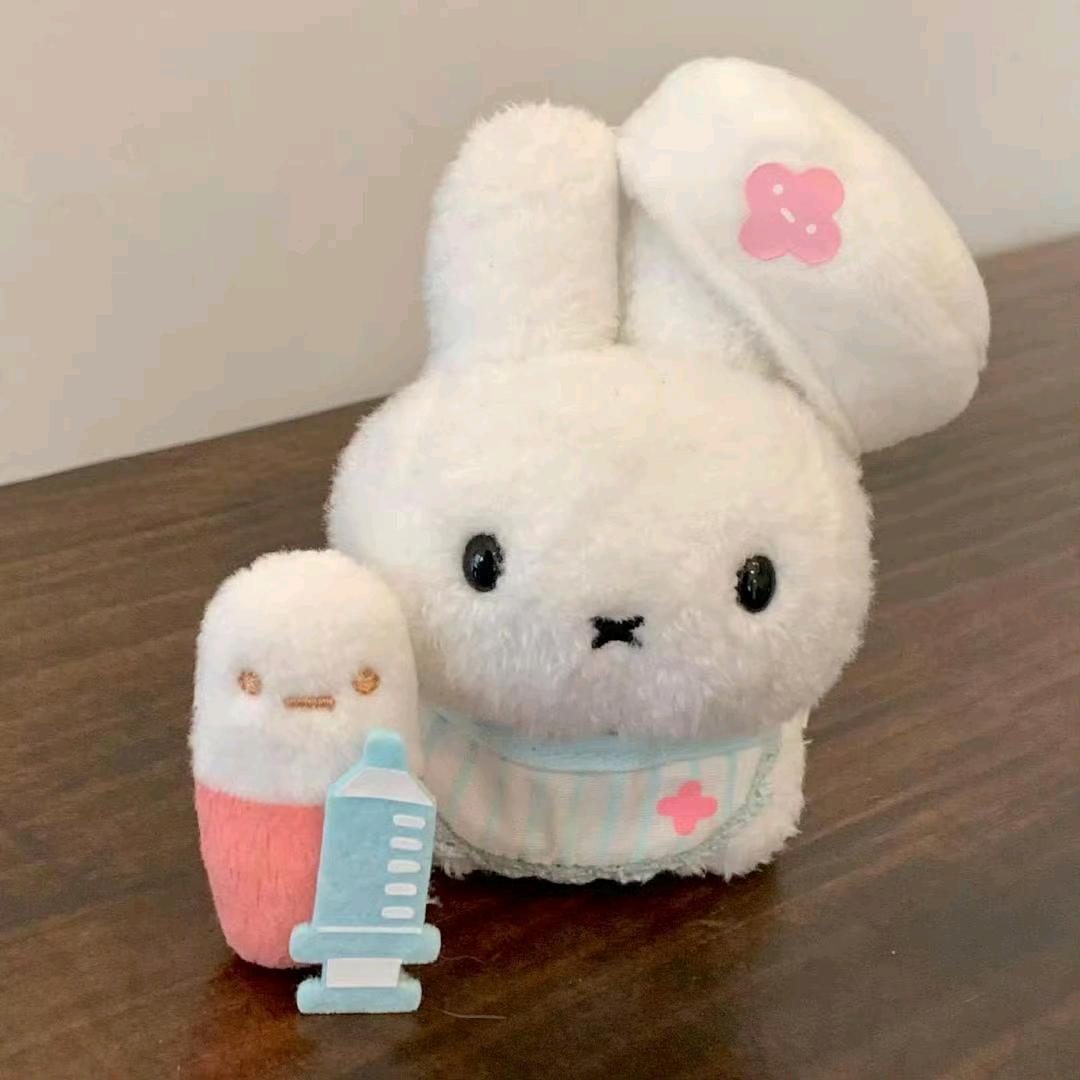 叫我兔子大王蒜了