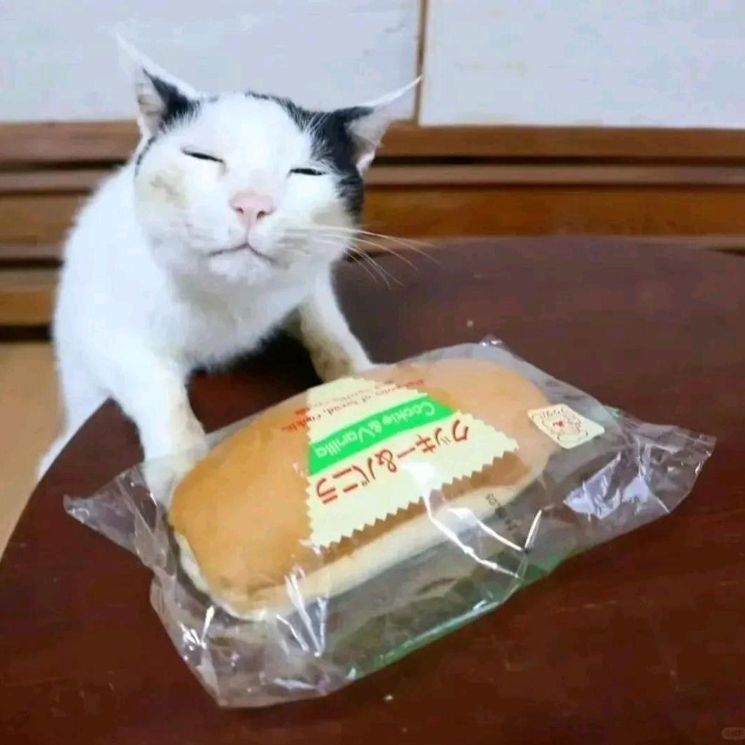 歪歪爽