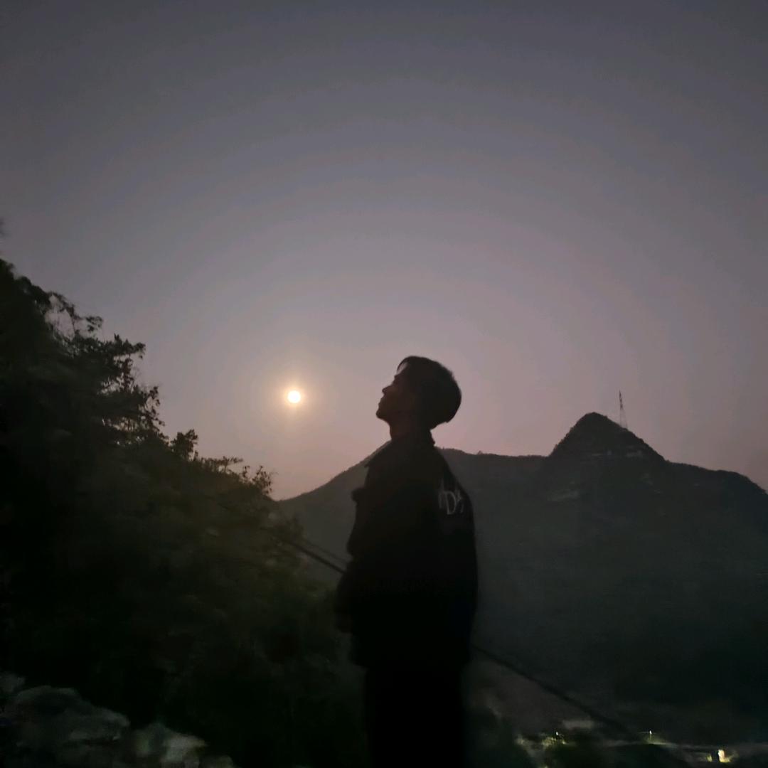南风知我意☁