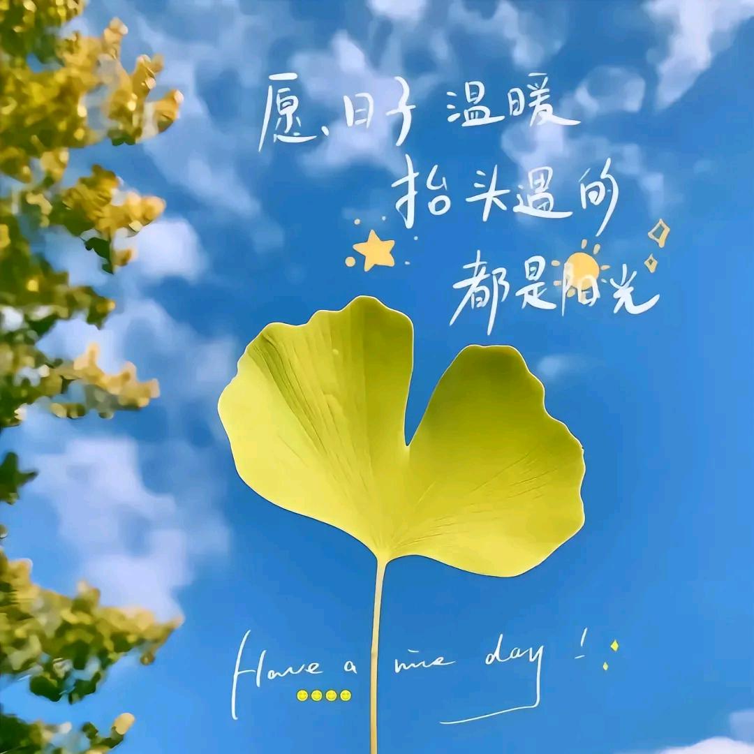 幸运🍀🍀四叶草💋